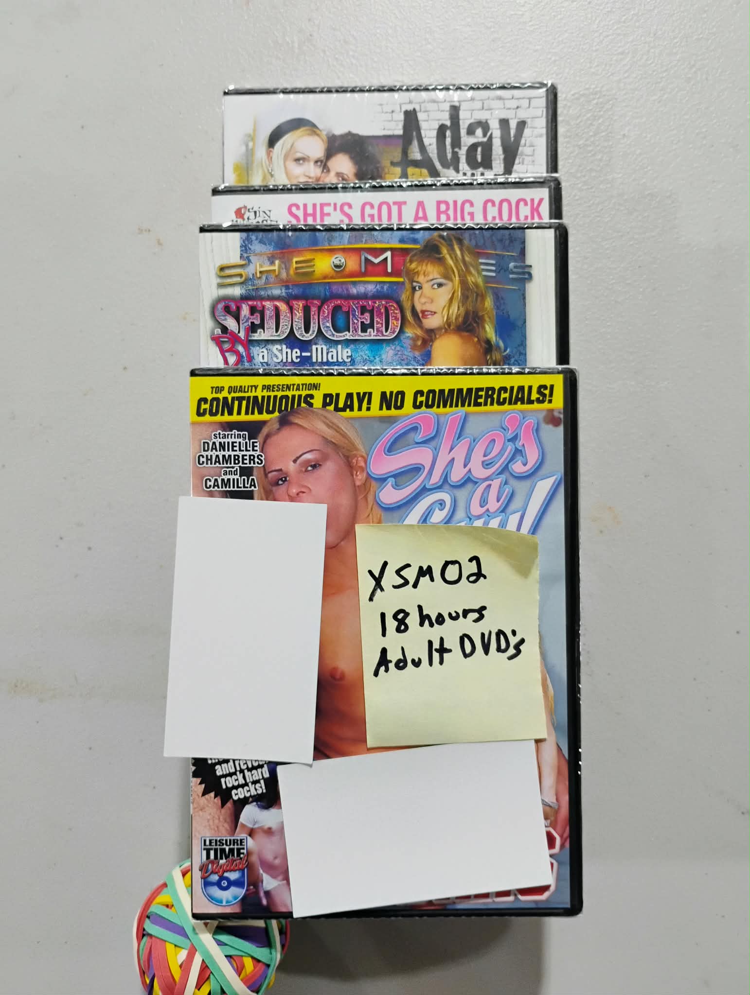 She-Male DVD Lot #XSM02
