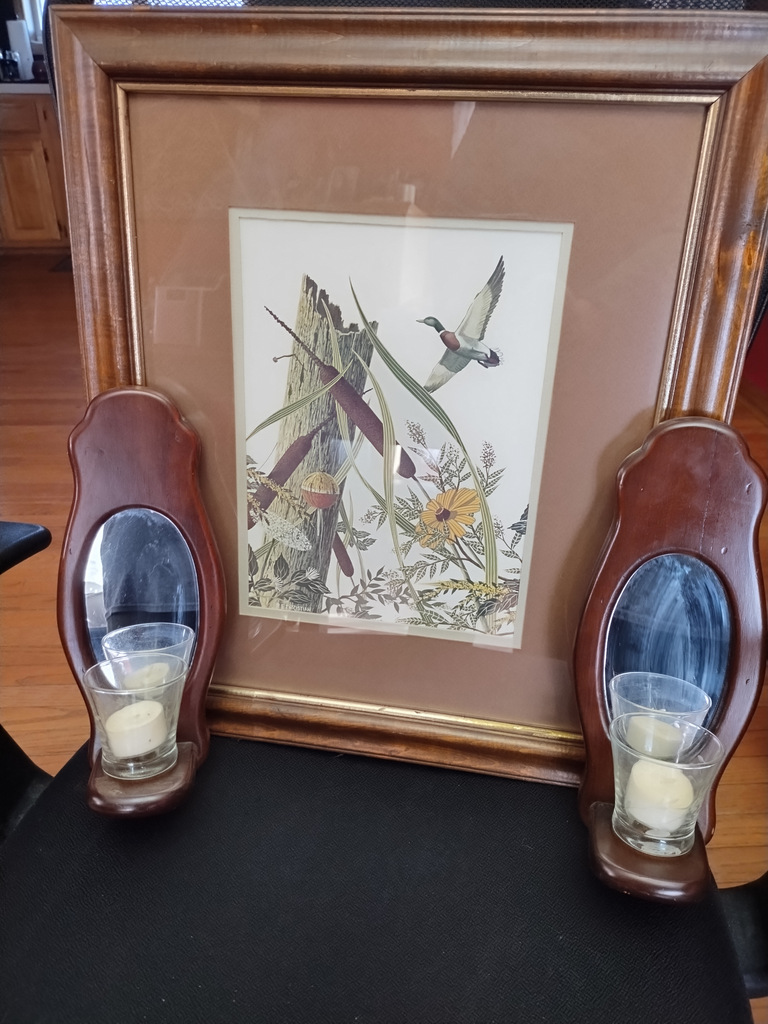 Mallard Duck Framed Art w/Mirrored Sconces
