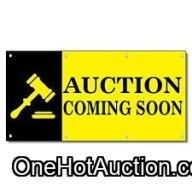 Another Auction Coming Soon!