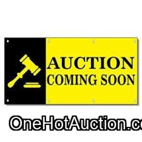 Another Auction Coming Soon!
