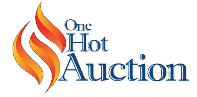 Store: OneHot Auction